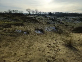 Oostnieuwkerke duinen wandeling in de koude (België)